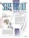 Scope This Out (Winter 2011 - Vol. 13, Number 1)