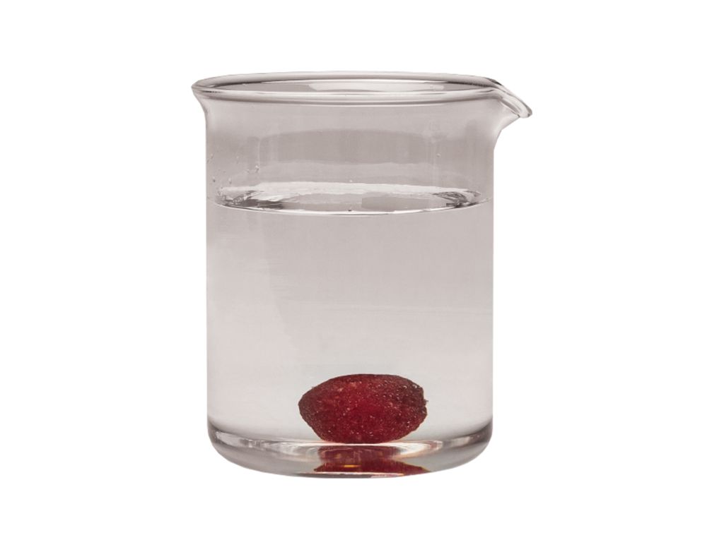 Arthrex - AlloSync Pure, 10.0 cc - ABS-2010-10