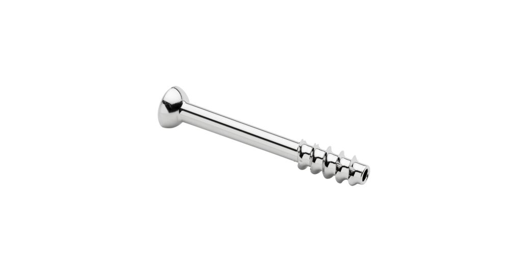 Bambus-Spieße Für Hunde – 22,6 Cm, Stumpfe Spitze, Hitzedesinfiziert – 250 Stück, Nachhaltig & Splitterfrei