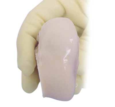 Foot and ankle fresh cartilage 0 large