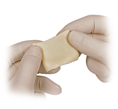 Foot and ankle orthobiologics products 1 large