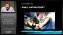 Arthroscopic Techniques for the Foot and Ankle